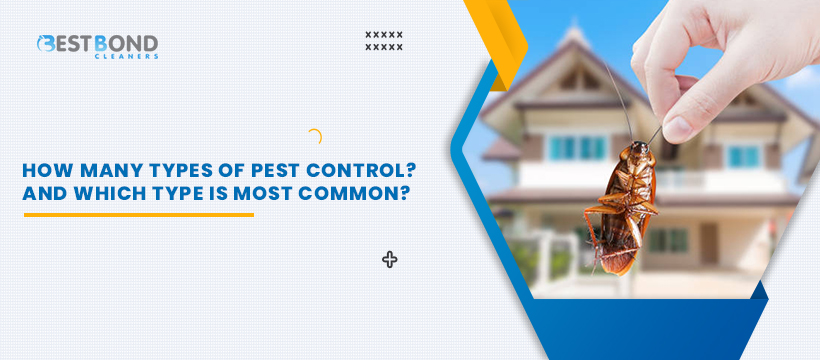 How Many Types of Pest Control and Which Type is Most Common?